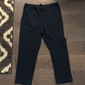 J.jill Navy blue cargo pants